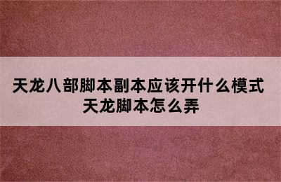 天龙八部脚本副本应该开什么模式 天龙脚本怎么弄